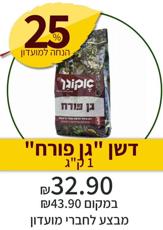 דשם גן פורח
